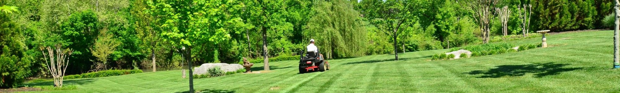 lawn-care-643557